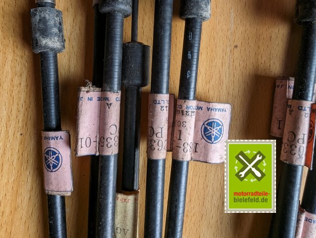 PXL_20240507_145957099